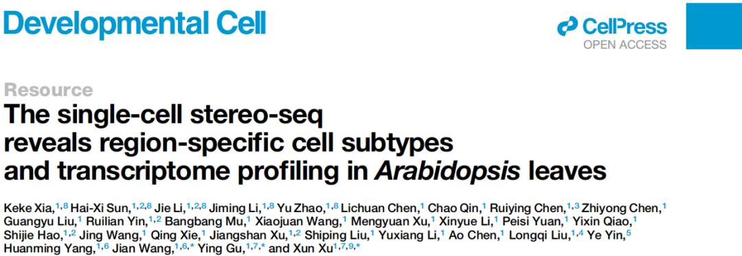 1The single-cell stereo-seq reveals region-specific cell subtypes and transcriptome profiling in Arabidopsis leaves.png 图片